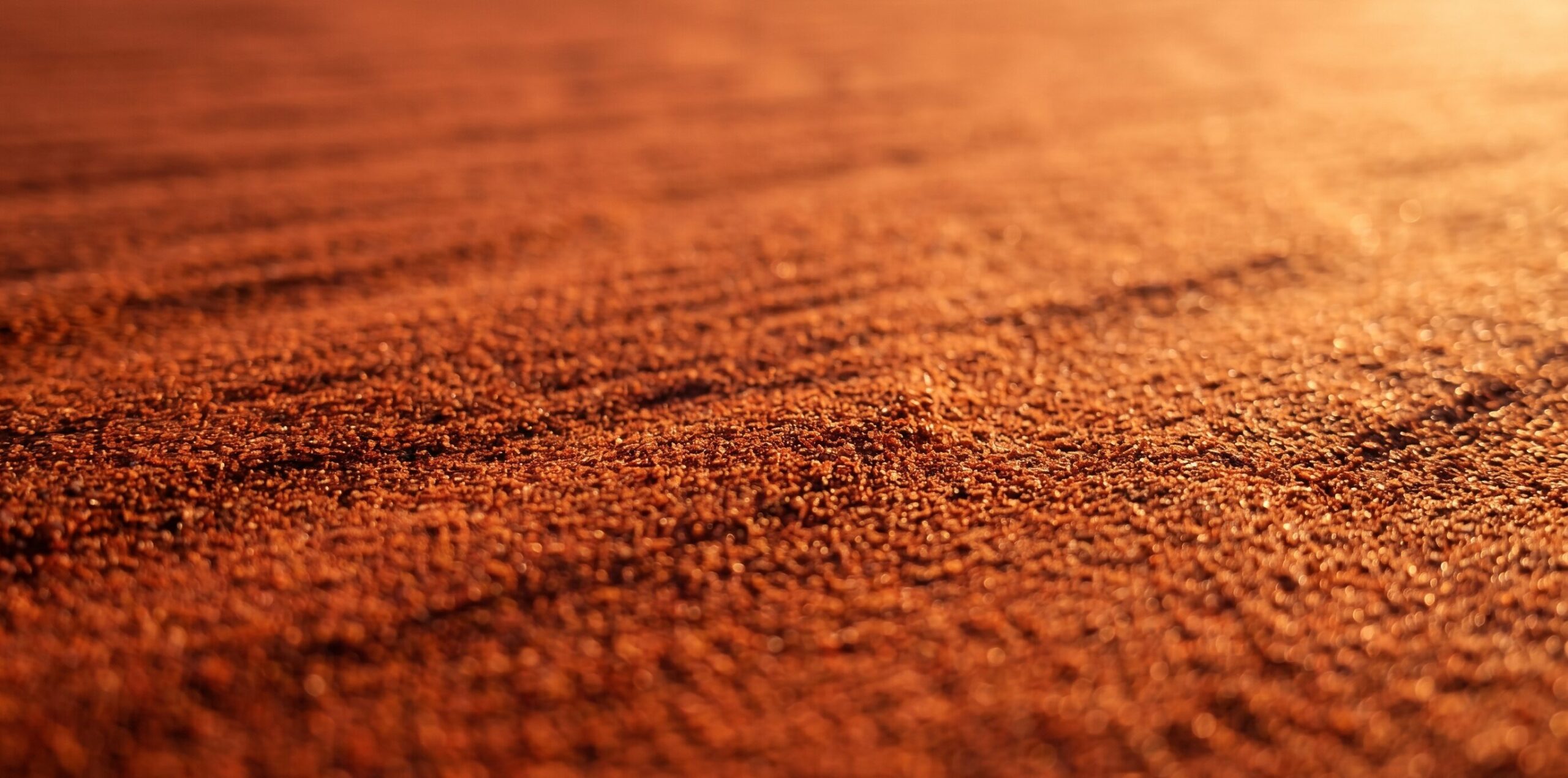 ナミブ砂漠の赤い砂丘のクローズアップ。鉄酸化物が砂粒をコーティングし砂に鮮やかなオレンジ・赤色を与えている。