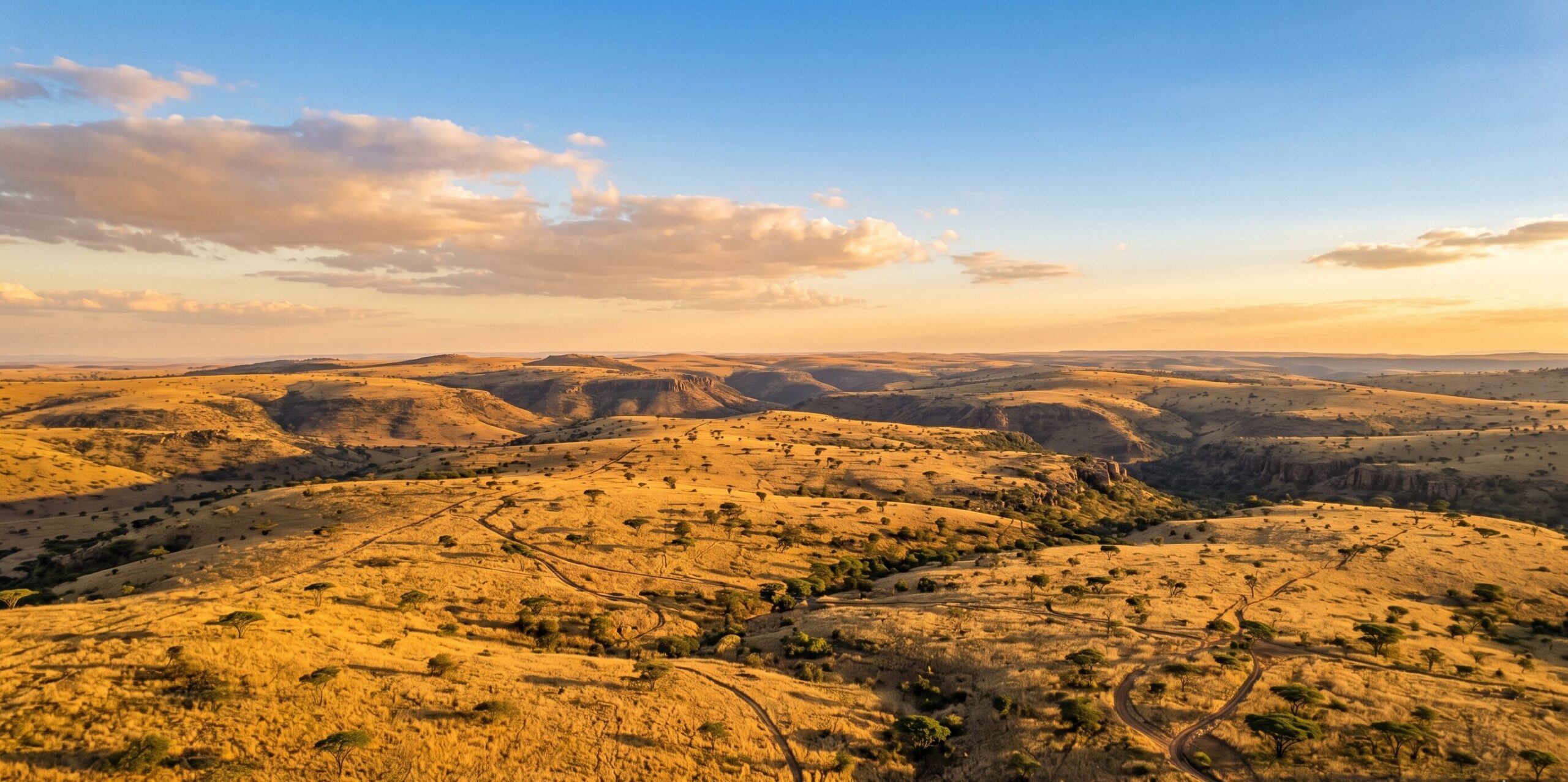 南アフリカのサバンナ地帯——人類のゆりかごCradle of Humankindが広がるヨハネスブルグ近郊の大地