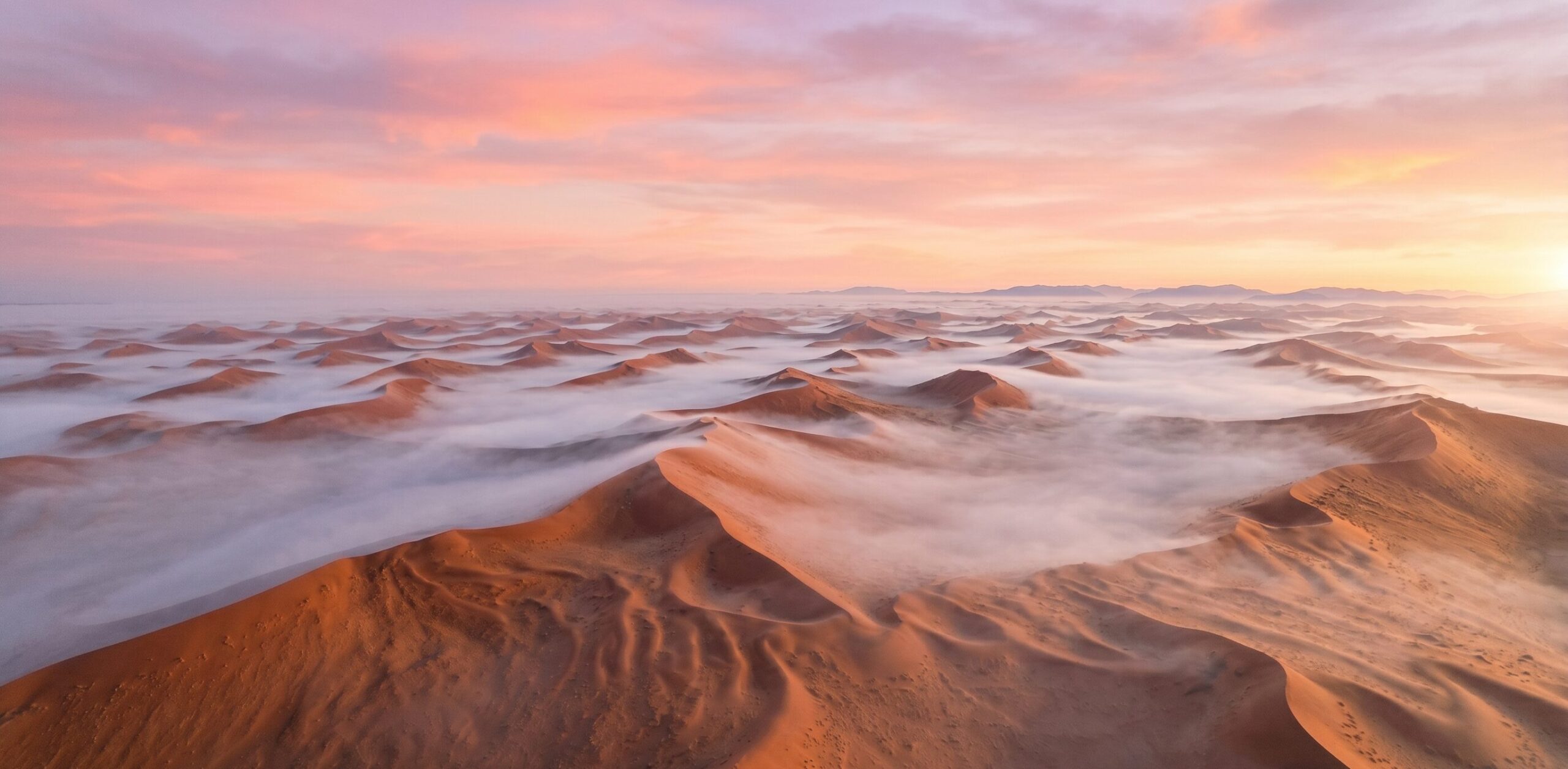 ナミブ砂漠の砂丘を流れる朝霧。ベンゲラ海流によって発生した霧が砂漠の生き物の重要な水源となっている。